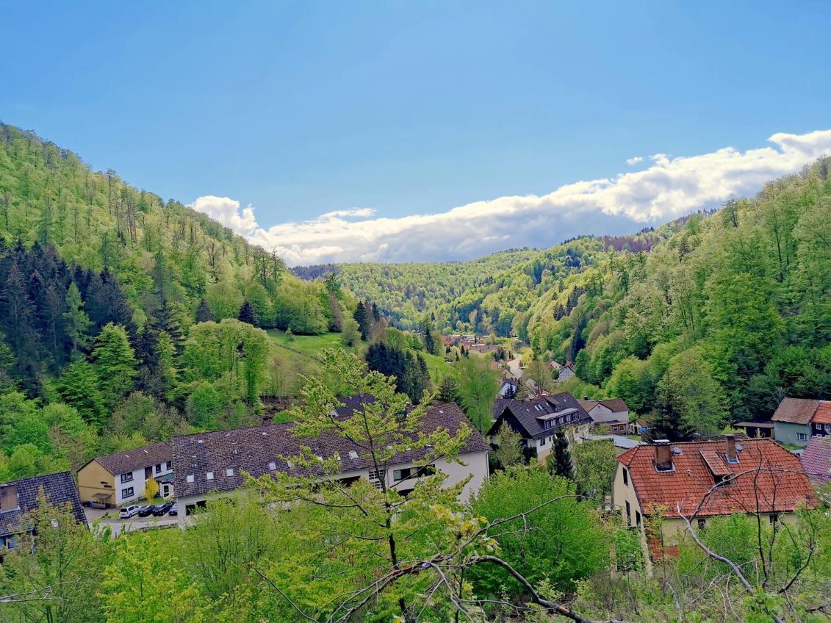 Vor Lauter Baeumen B&B Zorge Exterior photo