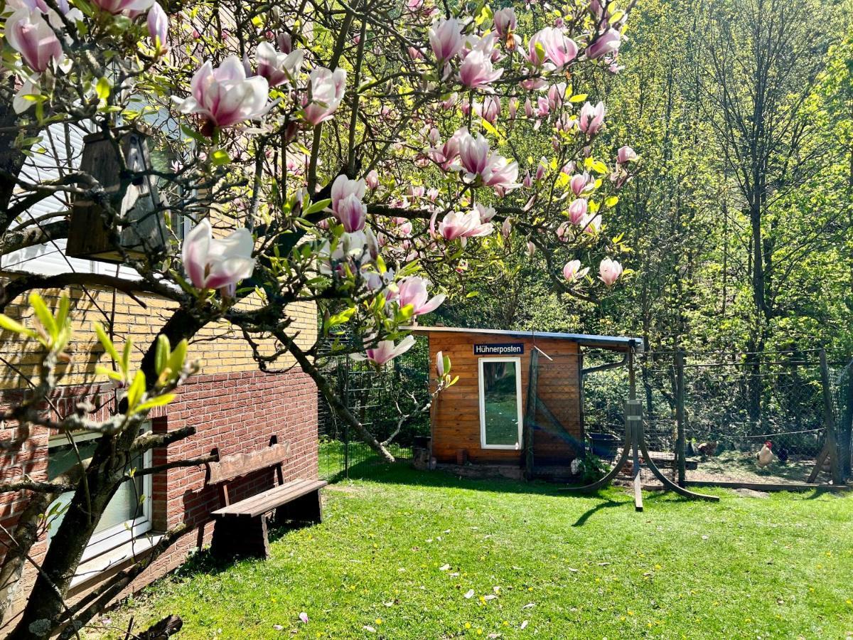 Vor Lauter Baeumen B&B Zorge Exterior photo