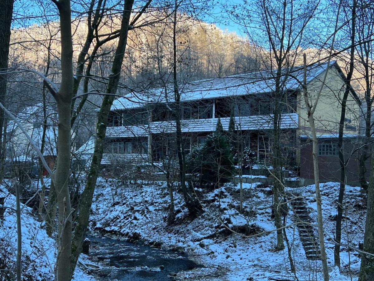 Vor Lauter Baeumen B&B Zorge Exterior photo