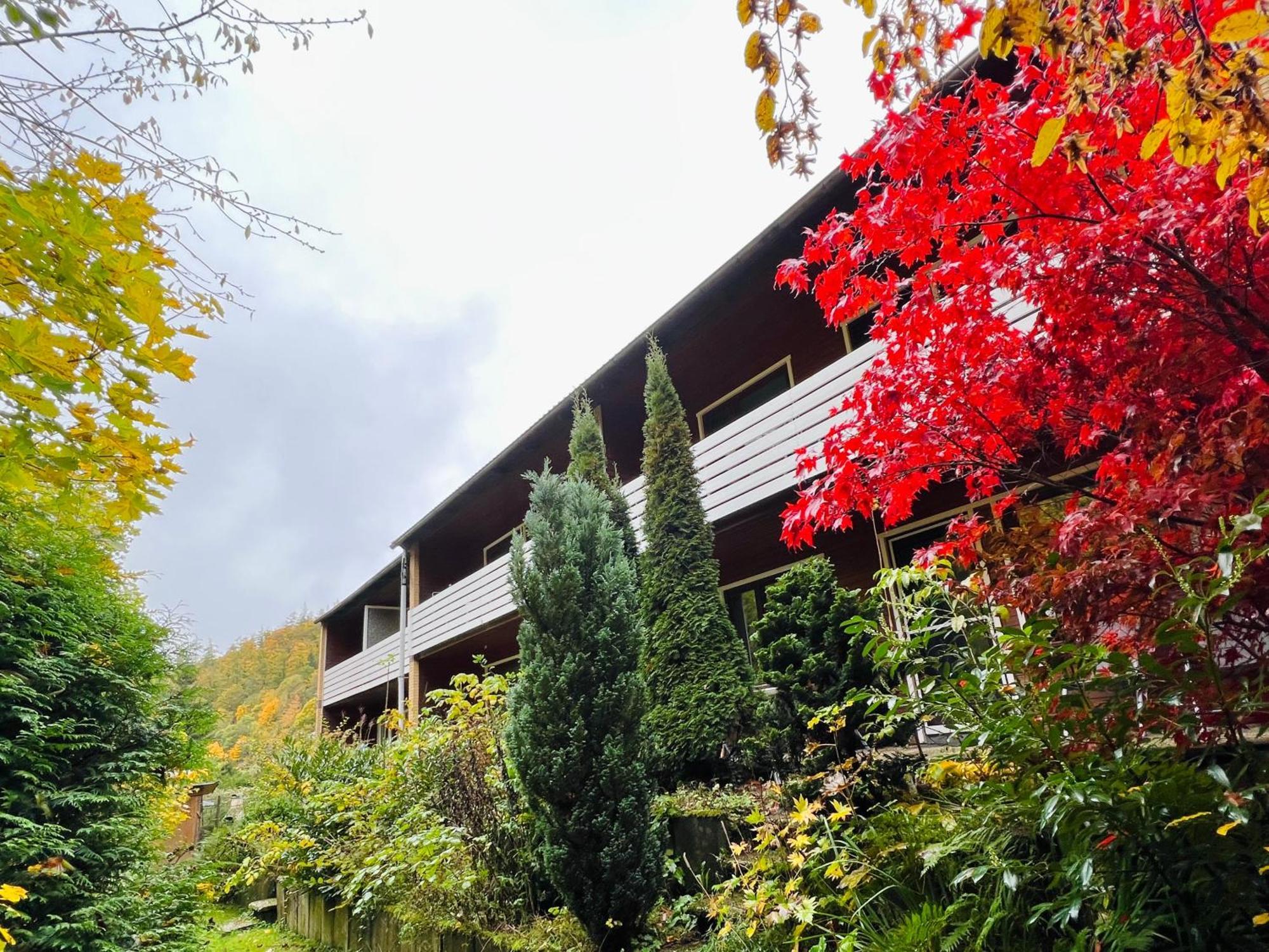 Vor Lauter Baeumen B&B Zorge Exterior photo