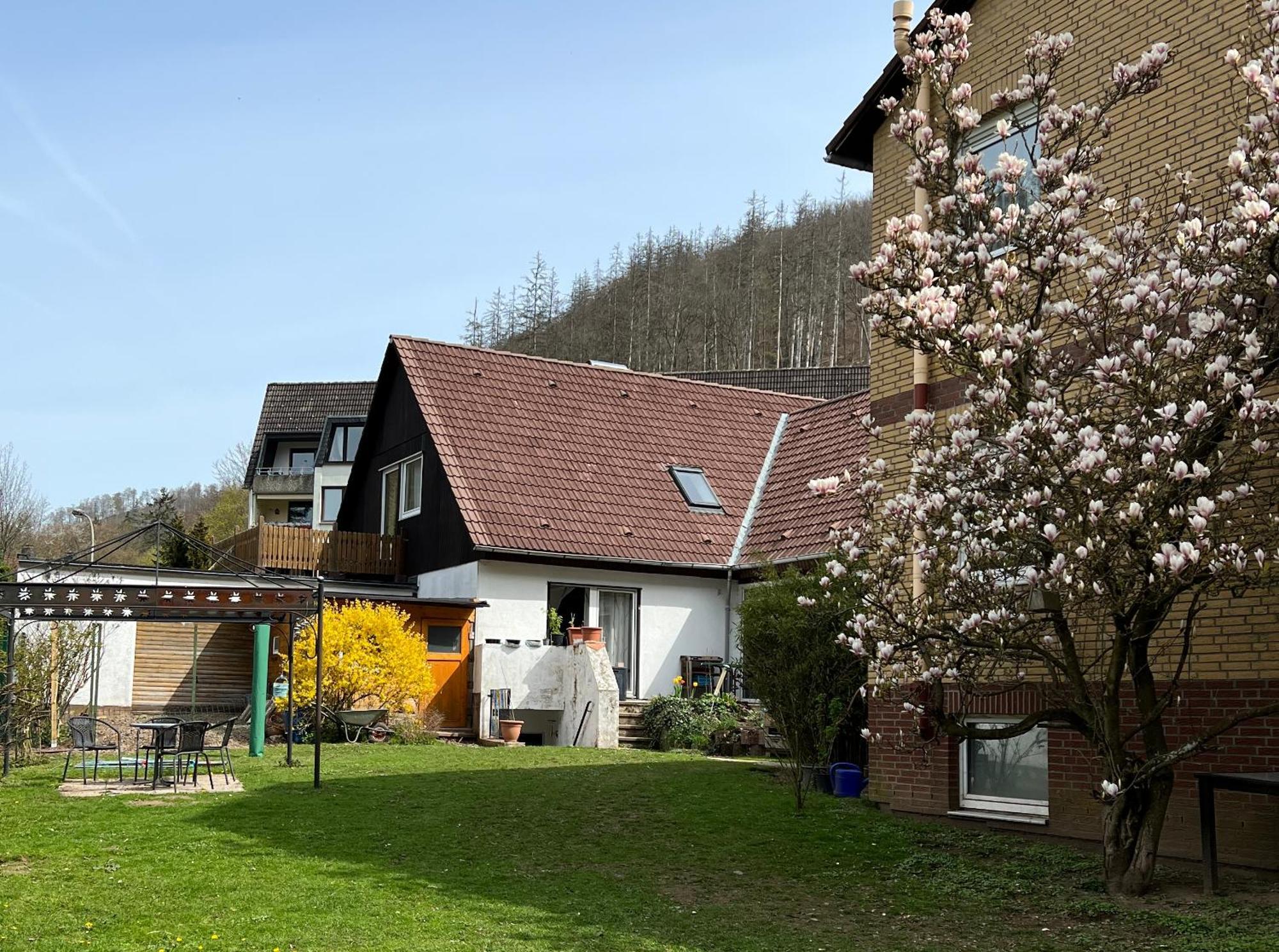 Vor Lauter Baeumen B&B Zorge Exterior photo