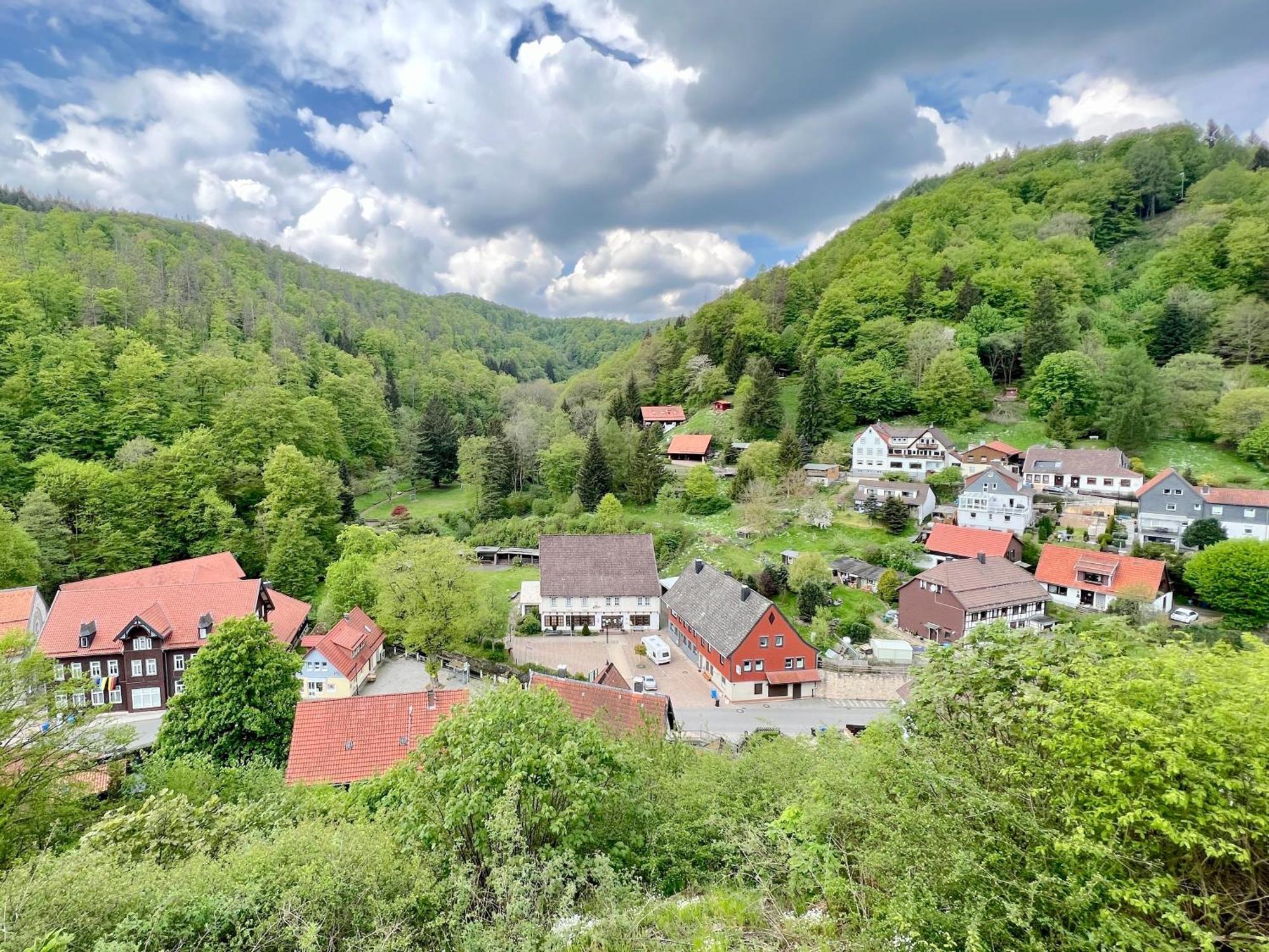 Vor Lauter Baeumen B&B Zorge Exterior photo