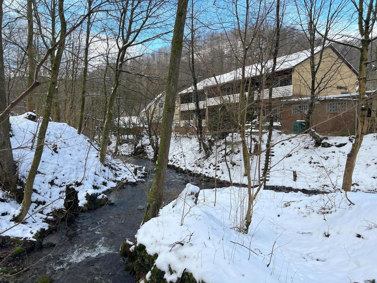 Vor Lauter Baeumen B&B Zorge Exterior photo